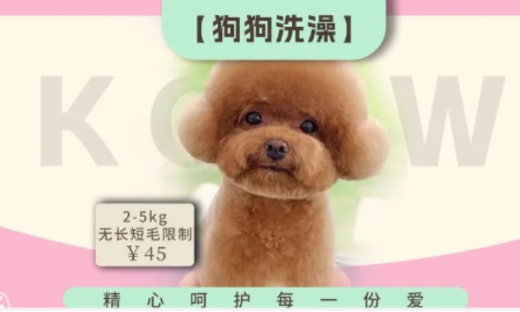 苏州宠物美容师b级培训