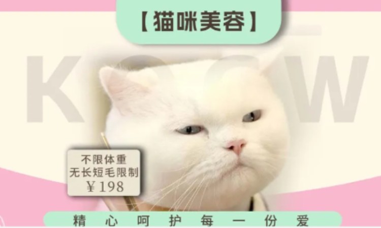 苏州正规宠物美容师培训