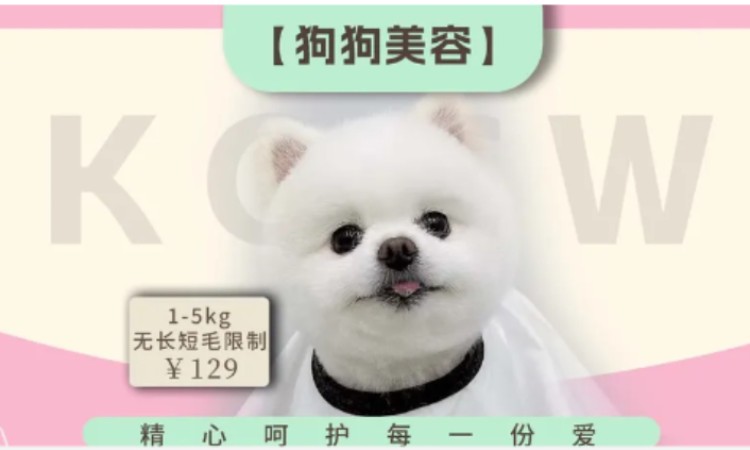 苏州宠物美容师培训学习