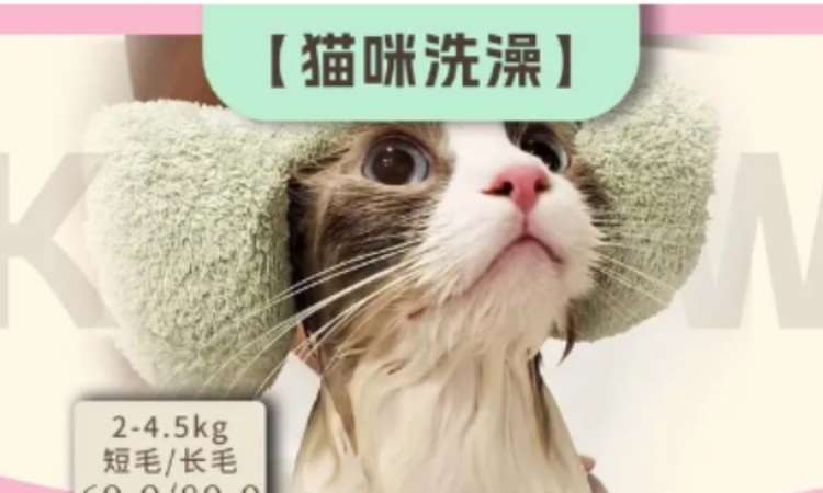 苏州宠物美容师考证培训