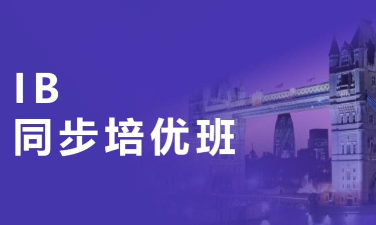 IB同步培优班