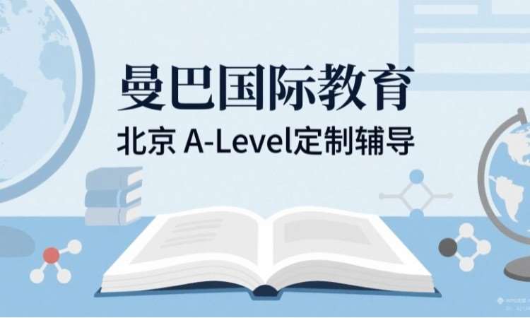北京A-Level定制辅导