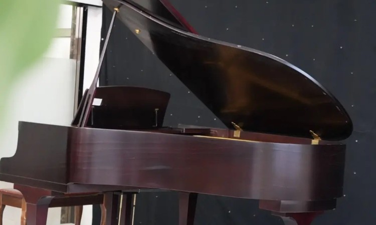 哈尔滨市松北区星韵艺术培训学校