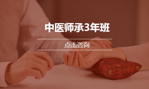 郑州中医师承3年班