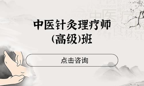 中医针灸理疗师(高级)班