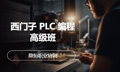 西门子 PLC 编程高级班