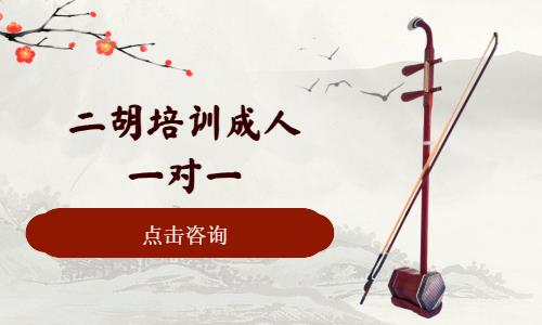 西安一对一学二胡