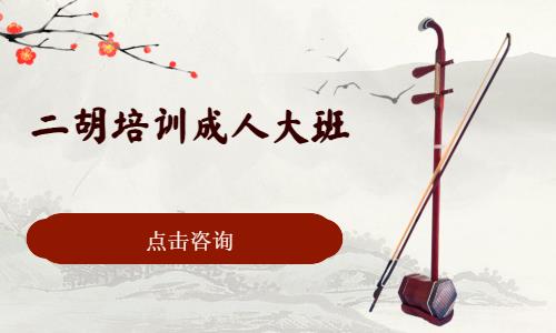西安二胡班