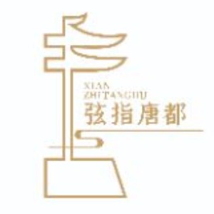 西安弦指唐都二胡音社