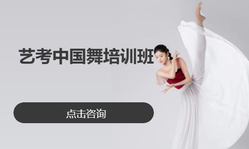 北京舞蹈艺考班