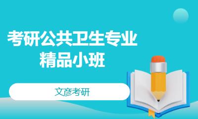 成都考研公共卫生专业精品小班