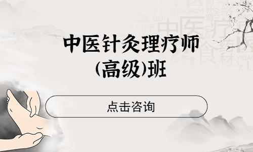 成都中医针灸理疗师(高级)班