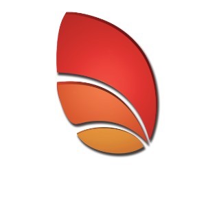 ��ѧ���պ�����ѵ