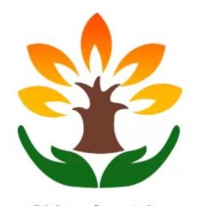 �Ͼ�����רע��������ѯ