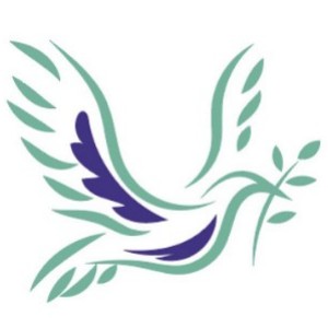 �ϼ�����������