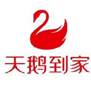 BZ